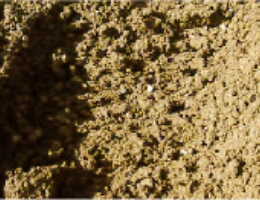 砂質系シルト質土壌